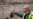 Ancient Jerusalem Hand Imprint Baffles Israel Experts