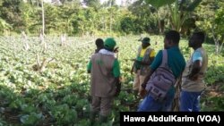 Ghana Na Cikin Kasashe Hudu Da Za Su Ci Gajiyar Shirin WFP Na Dala Miliyan 10.7