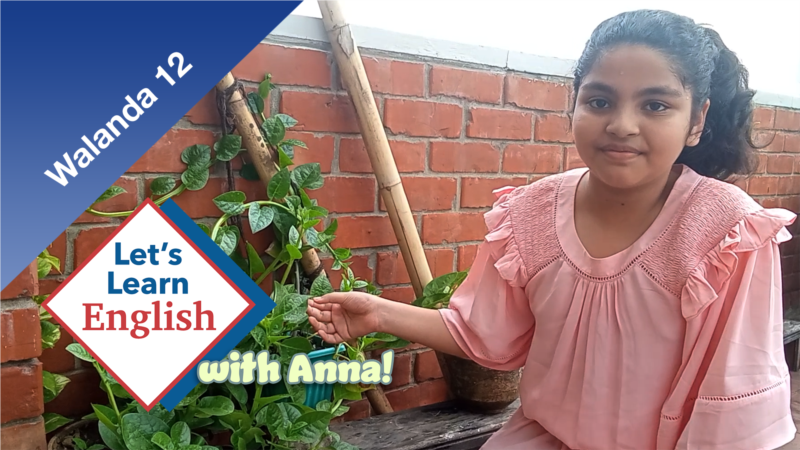 Walanda 12: Nakɔ bɛ falen cogo di?