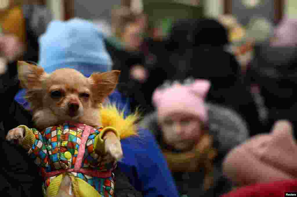 Una mujer que huye de la invasión rusa de Ucrania sostiene a su perro mascota mientras espera fuera de la estación de tren en Lviv, Ucrania, el 4 de marzo de 2022.&nbsp;