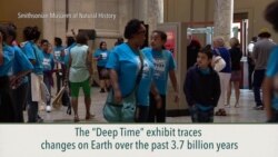 Climate in Deep Time