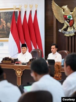 Presiden Prabowo meyakini Indonesia bisa mencapai swasembada pangan bukan hanya beras namun juga komoditas pangan lainnya. (Biro Setpres)