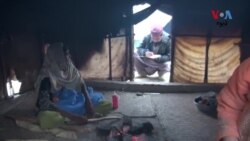 د افغانستان او پاکستان ترمنځ د تګ راتګ کوونکو کوچیانو ماشومانو ته د پولیو قطرو د ورکړې اهمیت او ستونزې