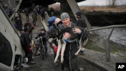 Una mujer sostiene a un perro mientras cruza el río Irpin por un camino improvisado debajo de un puente que fue destruido por un ataque aéreo ruso, mientras ayuda a las personas que huyen de la ciudad de Irpin, Ucrania, el sábado 5 de marzo de 2022. 