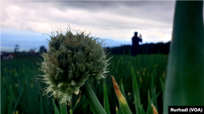 Yetuk ayollarning shirali dumbalari Porno xojayin va kotib yalangoch Sveta Bukina