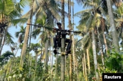 Ganapathi Bhat (50), menggunakan "skuter pohon" memanjat pohon untuk memanen buah pinang di ladangnya di Mangaluru, negara bagian Karnataka, India, 20 Februari 2022. (REUTERS/Sunil Kataria)