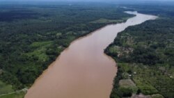 Sala de Redacción: Papa Francisco preocupación Amazonía 
