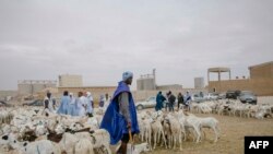 Dans l'est du pays, de nombreux Mauritaniens vivent en territoire malien ou y exercent leur activité, l'élevage notamment.