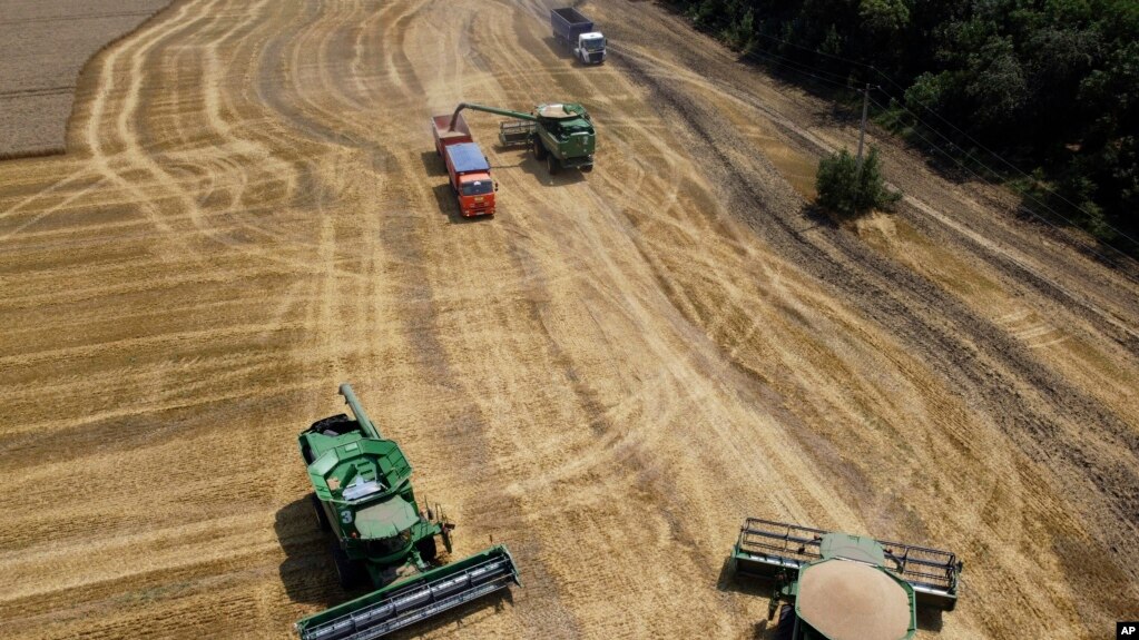 俄罗斯农民用康拜因（联合收割机）收割小麦。俄罗斯的坦克和导弹包围了乌克兰，对素有欧洲粮仓之称的乌克兰的粮食生产造成威胁。(photo:VOA)