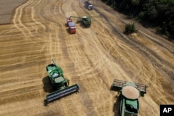 Petani memanen gandum di ladang mereka dekat desa Tbilisskaya, Rusia, 21 Juli 2021. Tank dan rudal Rusia yang mengepung Ukraina juga mengancam pasokan makanan dan mata pencaharian orang-orang di Eropa, Afrika, dan Asia. (AP/Vitaly Timkiv, File)