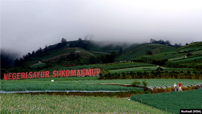 Lansekap kawasan pertanian Nampan, Sukomakmur, Magelang, Jawa Tengah. (Foto: VOA/Nurhadi)