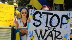 Gặp gỡ nhóm 'Người Việt sát cánh với Ukraine' - Bản tin VOA