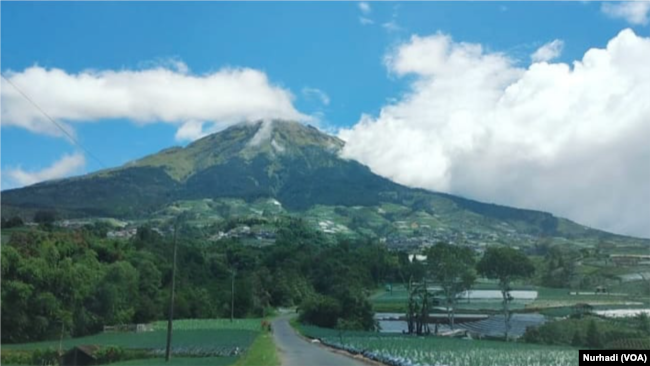 Lahan pertanian di Kajoran, Magelang, Jawa Tengah di kaki Gunung Sumbing. (Foto: VOA/Nurhadi)