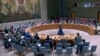 俄罗斯拿生物武器说事 联合国与安理会成员予以驳斥