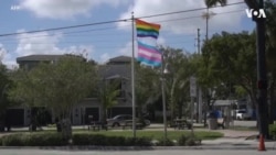 佛罗里达州通过的“不要说同性恋”法案引发争议 