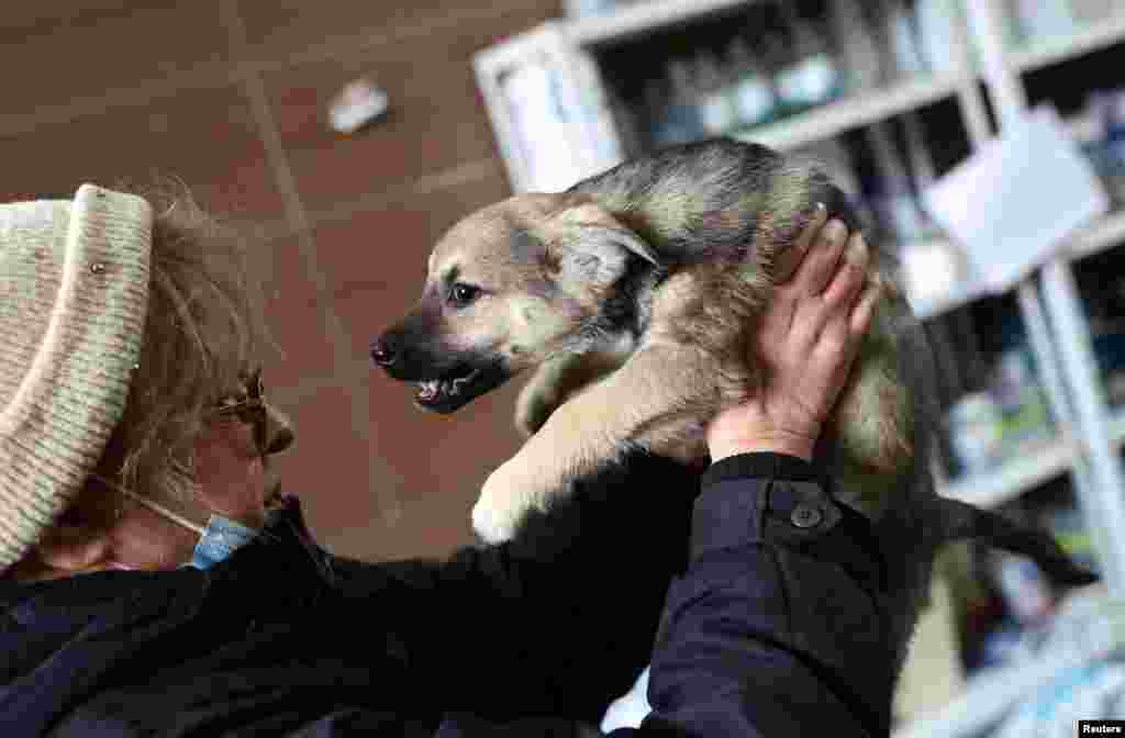 Irina Vasilieva carries one of the five puppies she found on the streets as she brings them to an animal shelter in Lviv, Ukraine, March 7, 2022. A crew of volunteers from Latvia will evacuate them from Ukraine to give them shelter in Latvia.