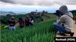 Anak-anak milenial berpose di ladang tanaman di Magelang, Jawa Tengah, untuk mengisi laman media sosial mereka. (Foto: VOA/Nurhadi)