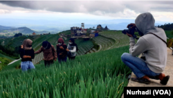 Anak-anak milenial berpose di ladang tanaman di Magelang, Jawa Tengah, untuk mengisi laman media sosial mereka. (Foto: VOA/Nurhadi)