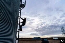 Petani AS, Al Saunders, memanjat silo yang menyimpan biji-bijian di pertaniannya di Benson, Minnesotta (dok: AP Photo/David Goldman)