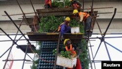 FILE - Workers plant flowers under the newly constructed Nairobi expressway, where a plan is underway to plant more than 5 millions flowers on its pillars, in Nairobi, Kenya, Feb. 8, 2022.