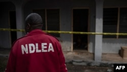 FILE - A National Drug and Law Enforcement Agency (NDLEA) official searches for evidence of illegal substances in Obinugwu village in southeast Nigeria, Nov. 22, 2018.