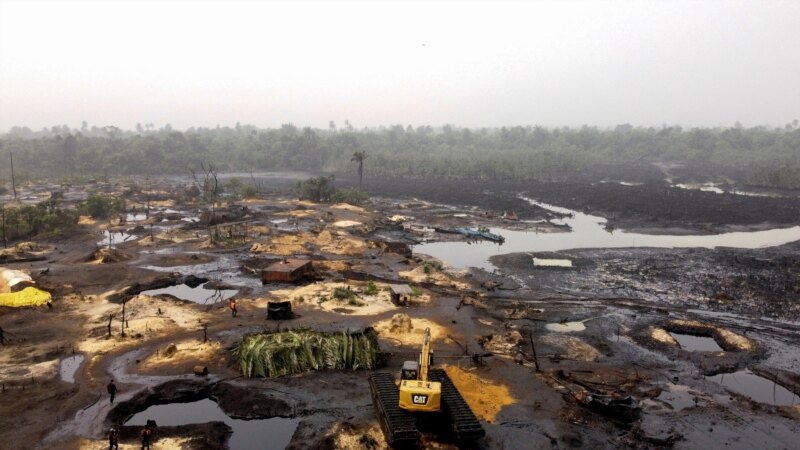 Pollution Causing More Deaths Than COVID, Action Needed, Says UN Expert