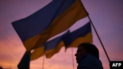 Và khi cuộc chiến xảy ra, cùng với màu cờ xanh-vàng của quốc kỳ Ukraine, hoa hướng dương trở thành một biểu tượng của sự kháng cự anh dũng và can đảm của người dân Ukraine.