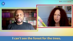 English in a Minute: Can't See the Forest for the Trees