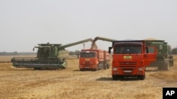 FILE - Farmers harvest with their combines in a wheat field near the village Tbilisskaya, Russia, July 21, 2021. China is the only friend that might help Russia blunt the impact of economic sanctions over its invasion of Ukraine.