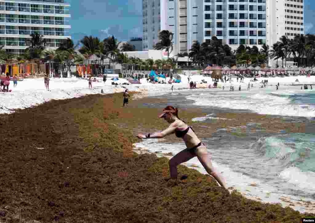 A tourist walks through an accumulation of Sargassum algae at Gaviota Azul beach in Cancun, Mexico, April 3, 2022.