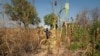 L'agriculteur Allaessem Franco Crepin montre sa terre endommagée par le passage d'un troupeau à Paoua, dans le nord-ouest de la République centrafricaine, le 2 décembre 2021.