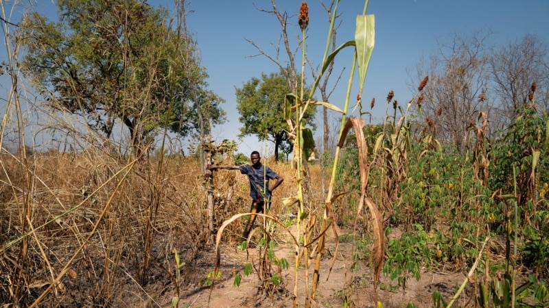 Polémique autour de la réquisition des terres agricoles par le gouvernement tchadien