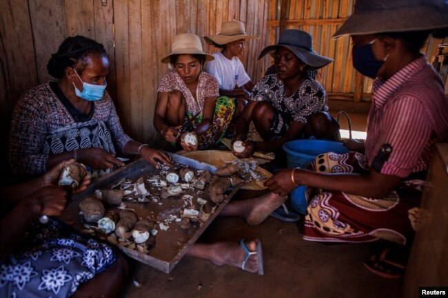 Members of the women's association chop cassava at the association's workshop in the town of Ambovombe, Androy region, Madagascar, February 14, 2022. (REUTERS/Alkis Konstantinidis )