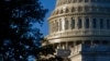 Zgrada Kongresa na Capitol Hillu u Washingtonu. (Foto: AP/Patrick Semansky)