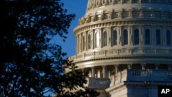 Zgrada Kongresa na Capitol Hillu u Washingtonu. (Foto: AP/Patrick Semansky)