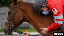 FILE - Abraham Gajon, 31, a paramedic, pets a horse named "Linda" during a therapy session at Miguel Hidalgo's center in Mexico City, Mexico on October 16, 2020. (REUTERS/Edgard Garrido)