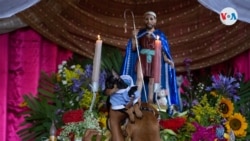 En Fotos | Fiesta de San Lázaro en Nicaragüa, en la que se viste a las mascotas de manera extravagante