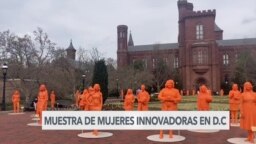 Museo Smithsonian celebra el Mes de la Mujer con la mayor colección de estatuas de mujeres jamás reunida
