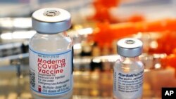 Viales de las vacunas de Moderna y Pfizer para el COVID-19 son vistas en una clínica temporal en Exeter, Nueva Hampshire, el 25 de febrero del 2022.