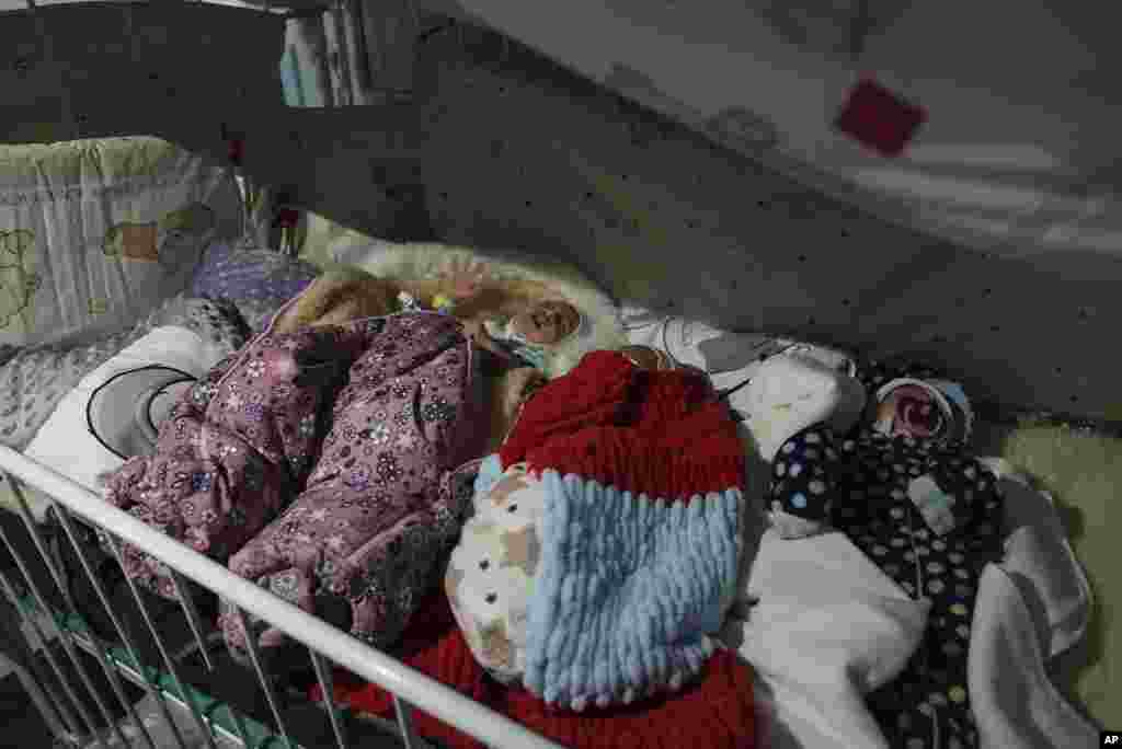 Tres bebés prematuros, uno al lado del otro, envueltos en mantas en un hospital de la sitiada ciudad ucraniana de Mariupol, abandonados por los padres que no pueden cuidarlos.