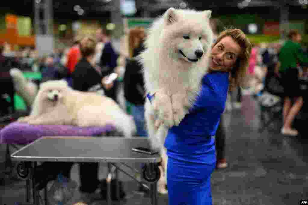 A woman holds her Samoyed dog on the first day of the Crufts dog show at the National Exhibition Center in Birmingham, England. (Photo by OLI SCARFF / AFP)