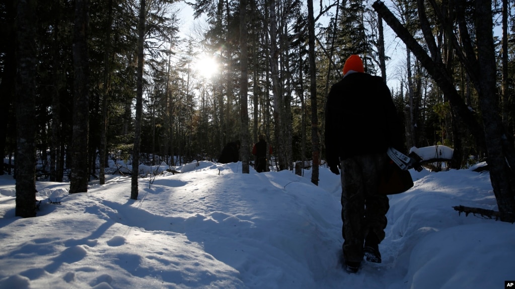 Frank Manthey follows E.J. Isaac and Roger Deschampe Jr. into the Grand Portage, Minn. woods on March 2, 2022. (AP Photo/Emma H. Tobin)