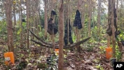 FILE - Hammocks are strung between trees, along with military fatigues at a People's Defense Forces camp in the jungles of Kayin State, Myanmar, in December 2021. 