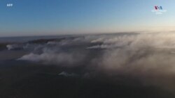 Ֆրանսիացի գինեգործները խարույկներ են վառում՝ իրենց խաղողի վազերը ցրտահարությունից պաշտպանելու համար
