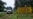 Nigeria's Oil Spills Agency Investigates Shell Pipeline Leak Report