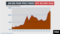 UN FAO Food Price Index Hits Record High