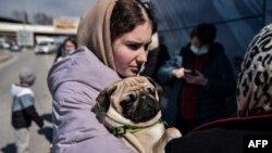 A Ukrainian refugee holds her dog following her arrival by bus at Promachonas Greece-Bulgarian border post, northern Greece, on March 11, 2022.