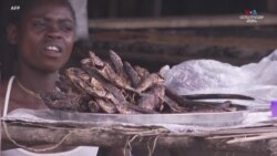 Կոնգոյի Դեմոկրատական Հանրապետության մայրաքաղաք Կինշասայի ծայրամասում սով է
