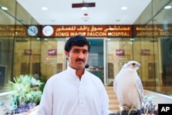 Khodr Allah, a Pakistani resident of Qatar, poses for a photograph with his gyrfalcon at the Souq Waqif Falcon Hospital work in Doha, Qatar, March 15, 2022. (AP Photo/Lujain Jo)