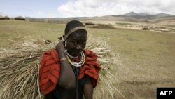 Face aux heurts de plus en plus fréquents entre humains et animaux sauvages, certains éleveurs se disent prêts à partir du Ngorongoro.